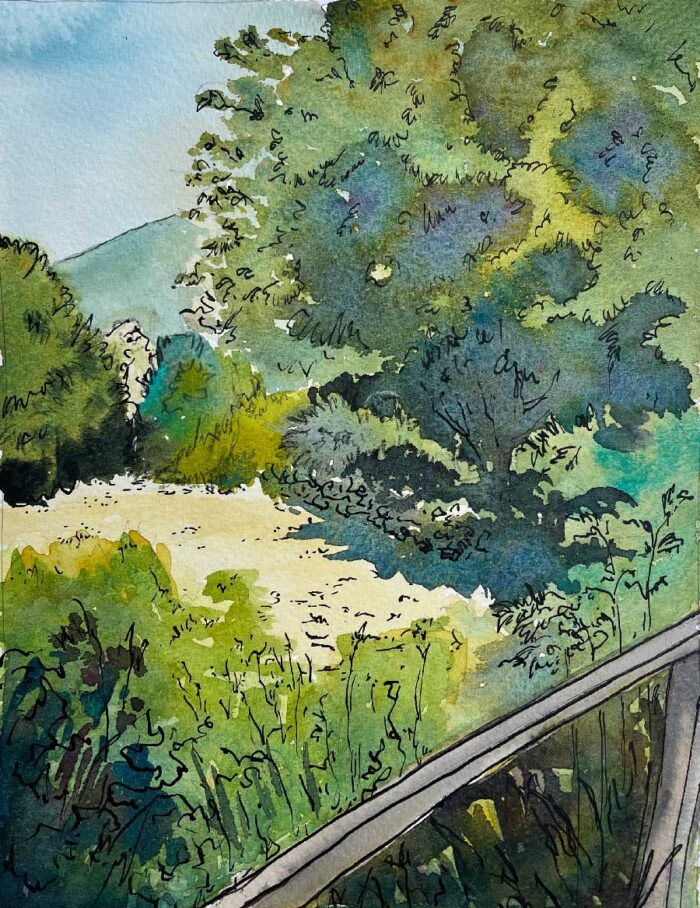 Marianne-Ryan-sketchbook-2025-Languedoc-900